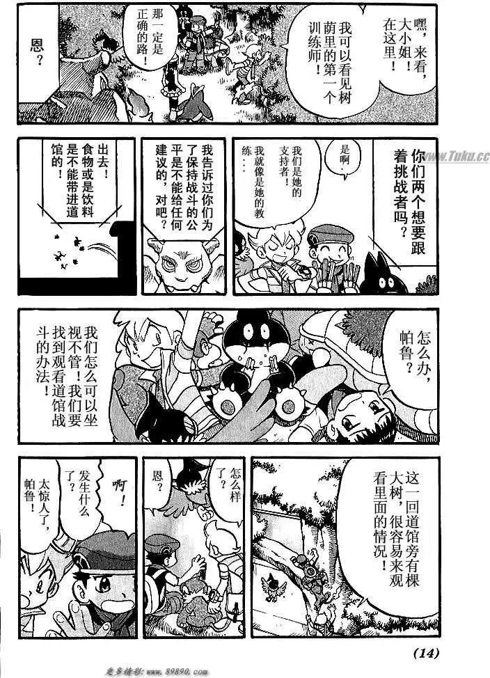 第31卷