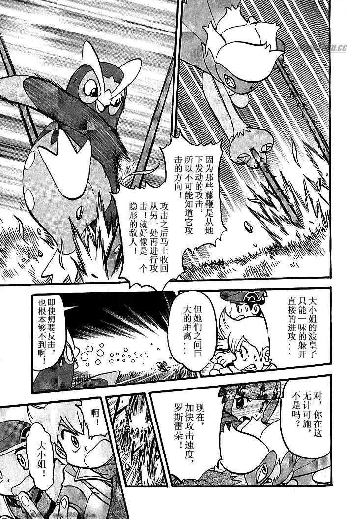 第31卷