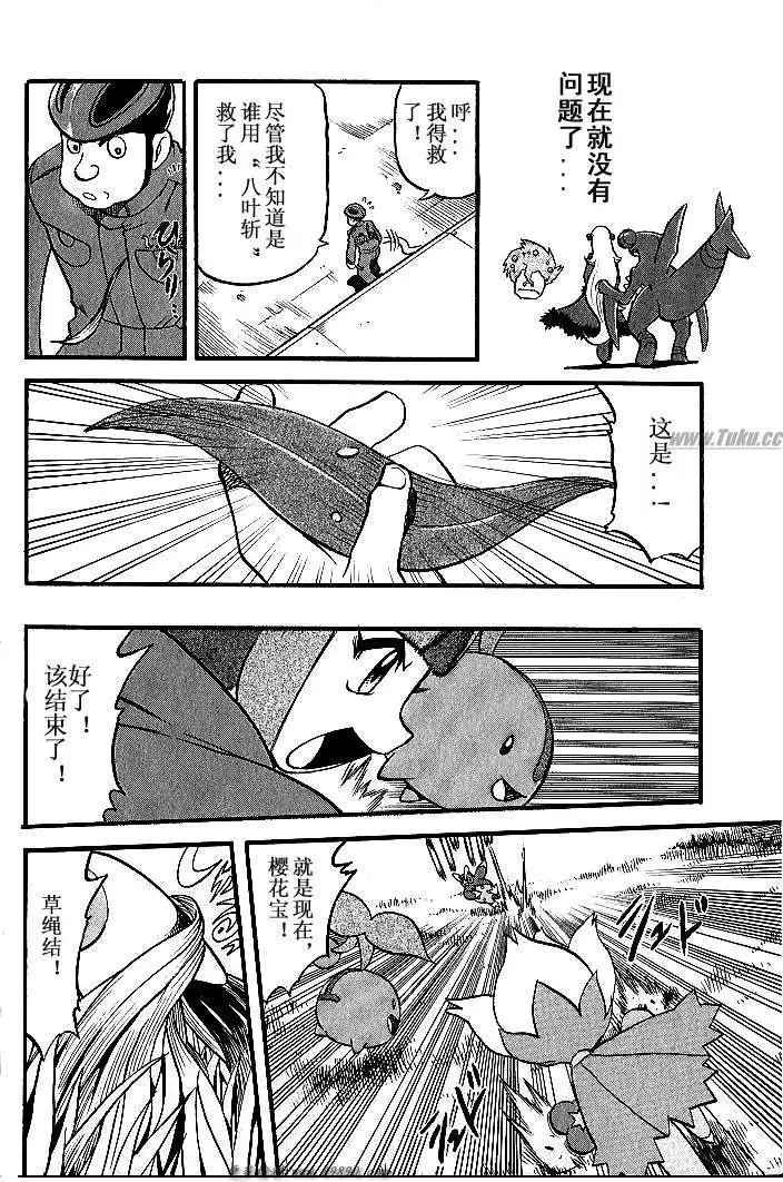 第31卷