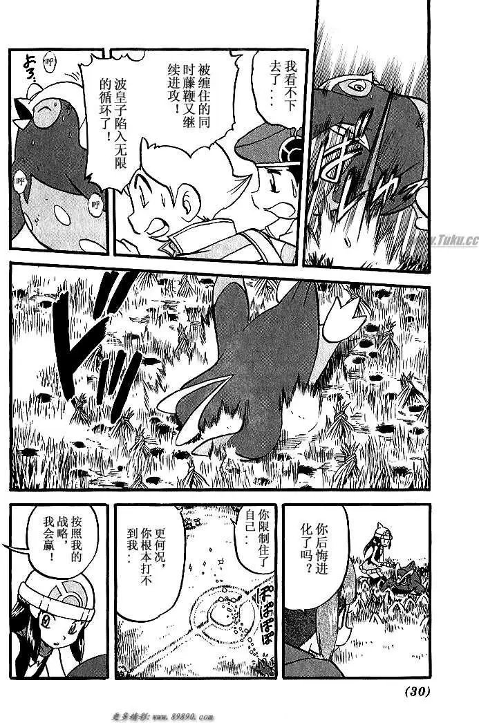 第31卷