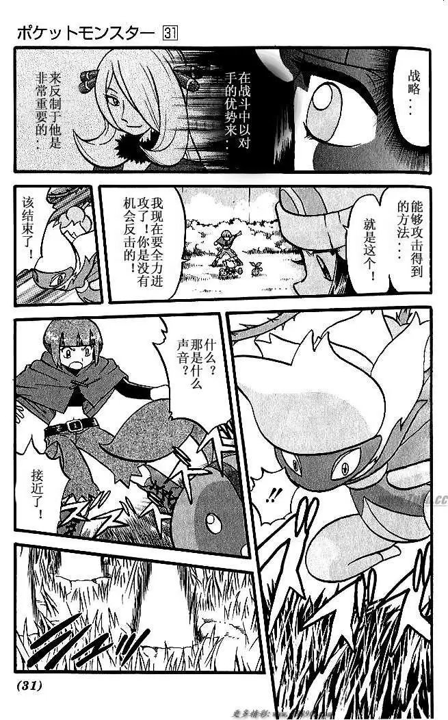第31卷
