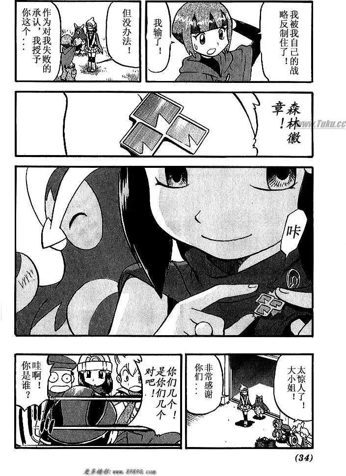 第31卷