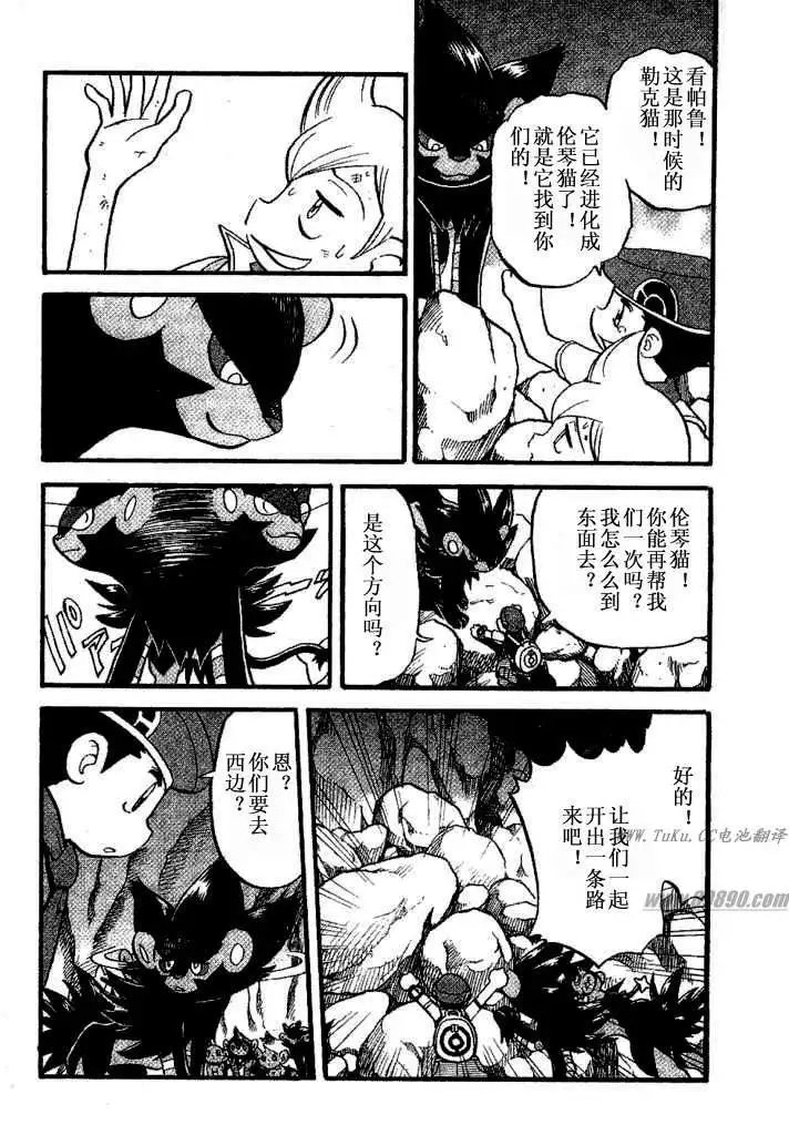 第31卷