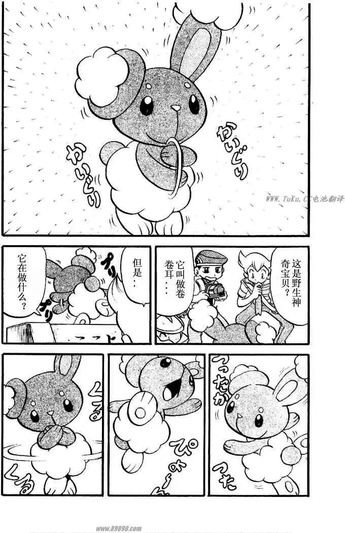第31卷