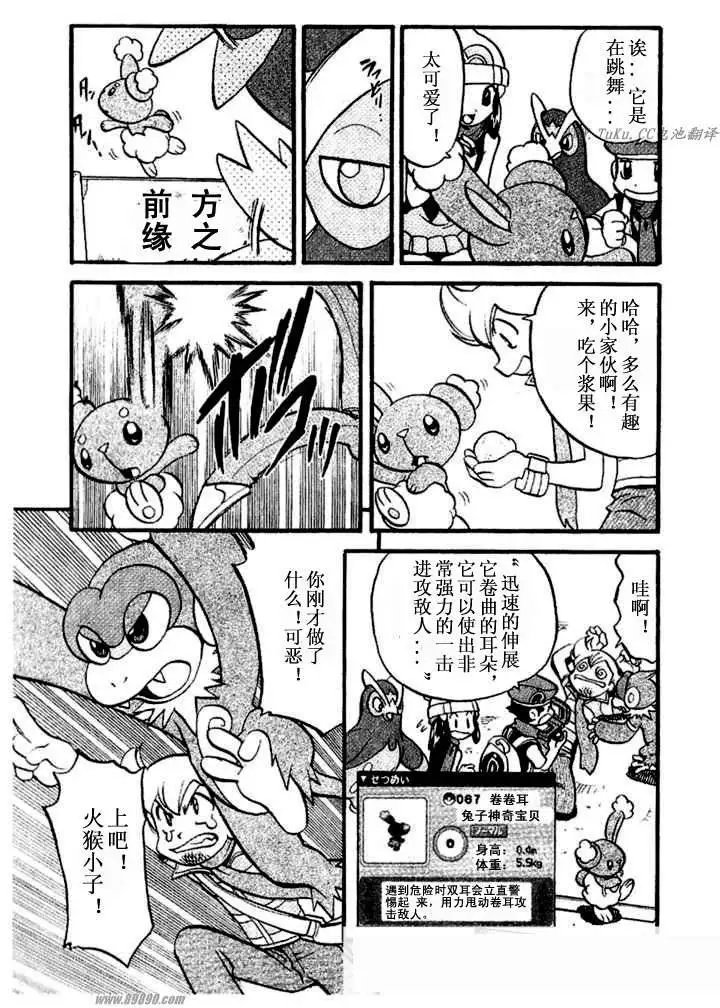 第31卷