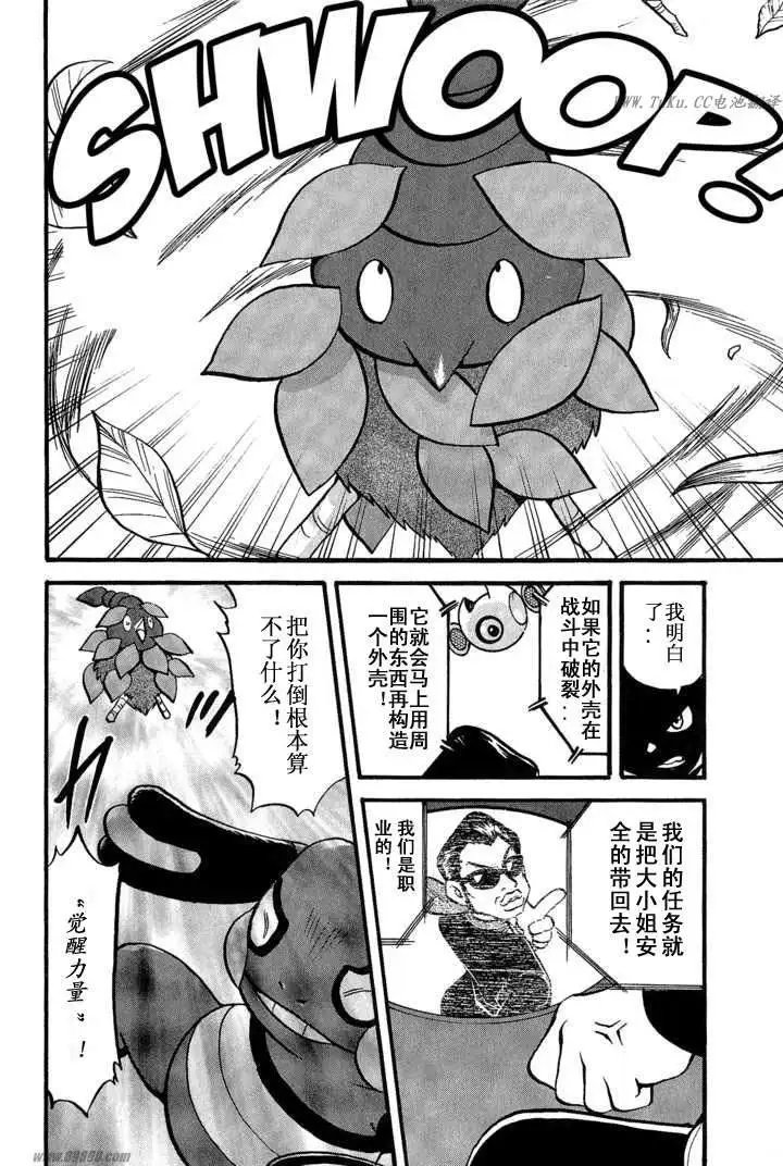 第31卷