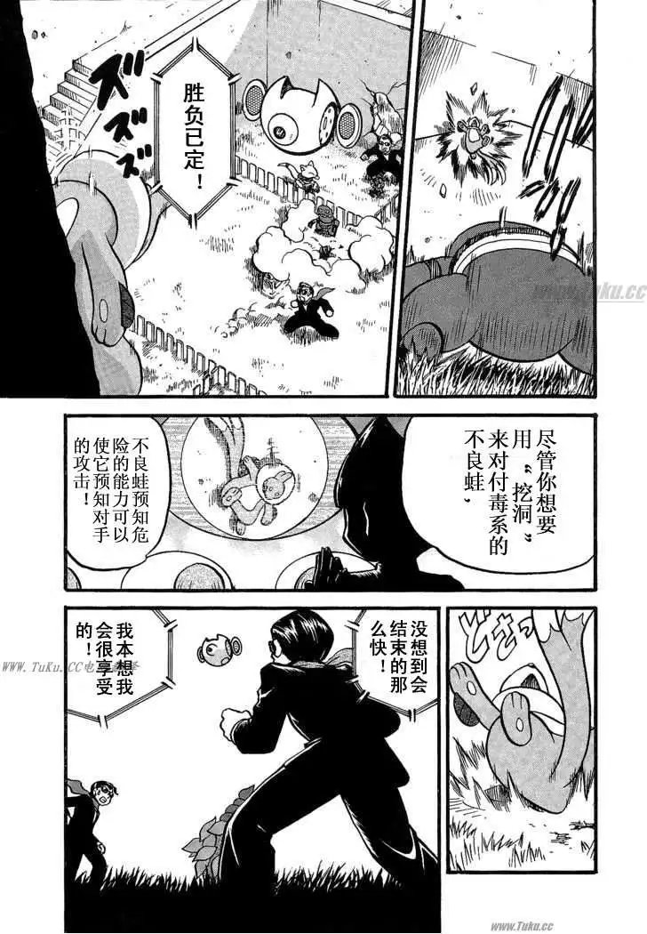 第31卷
