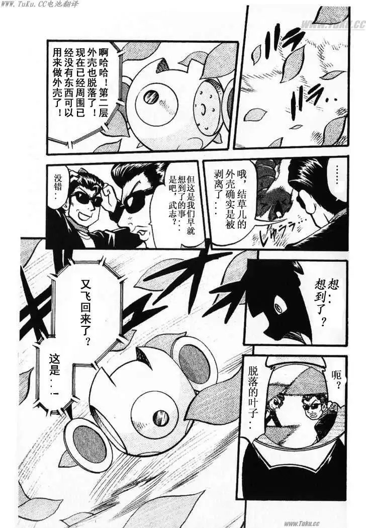 第31卷