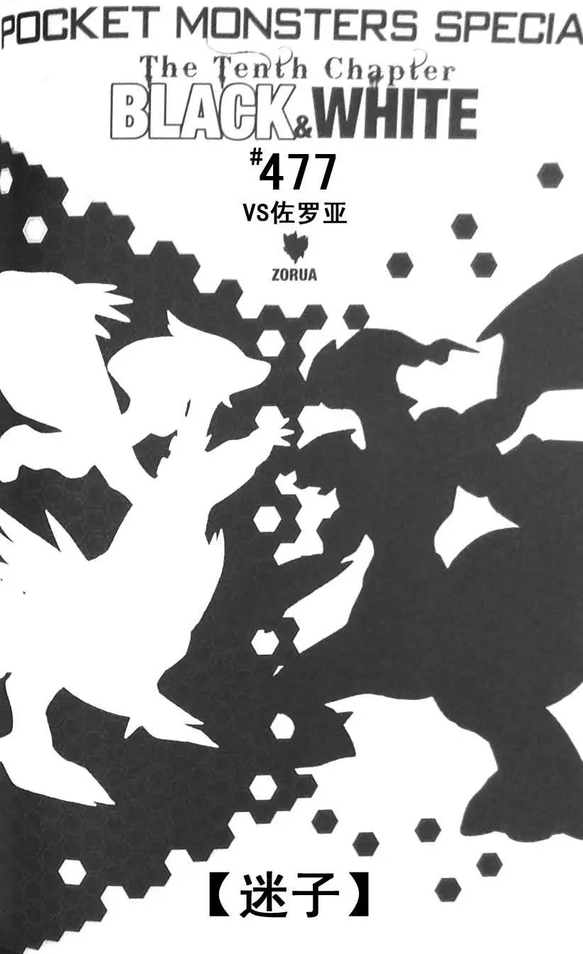 第45卷