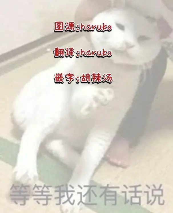 第08话