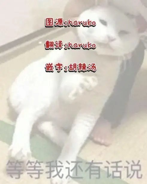 第09话