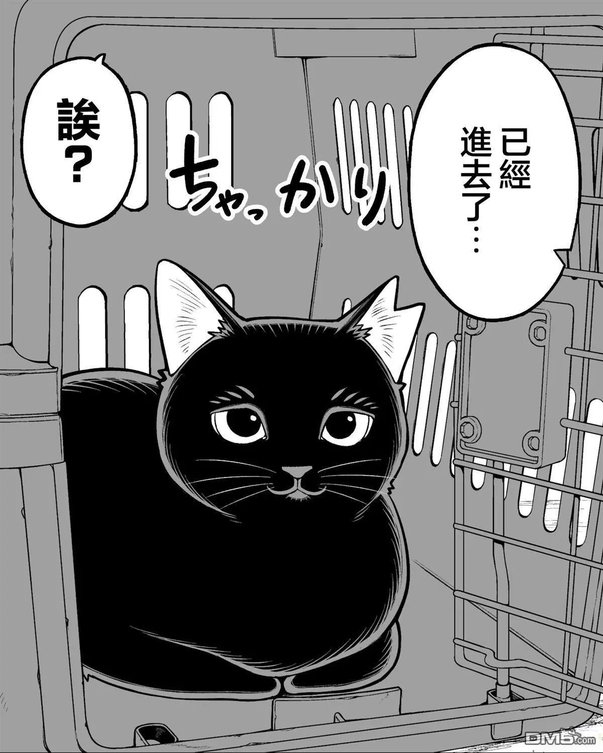 第49话