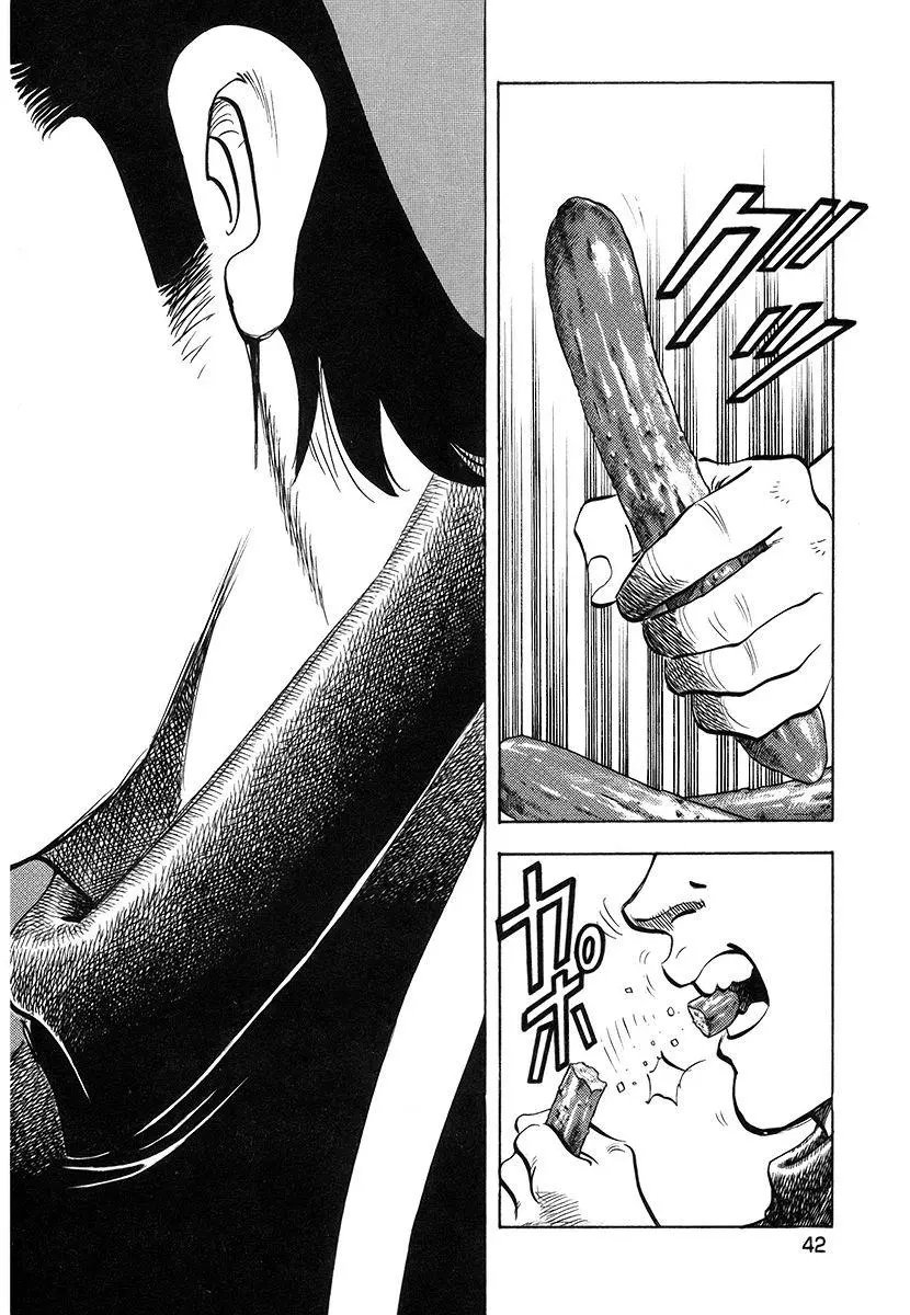 第11卷2