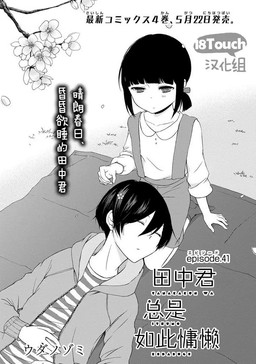 第41回
