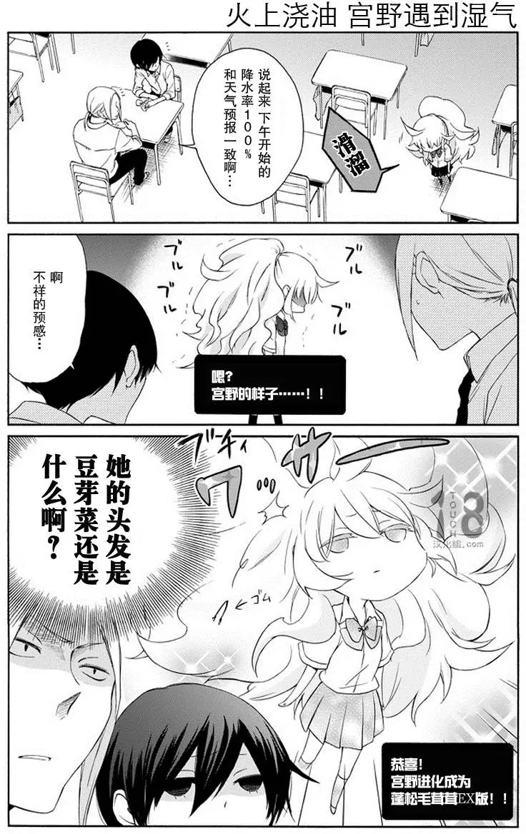 第46回