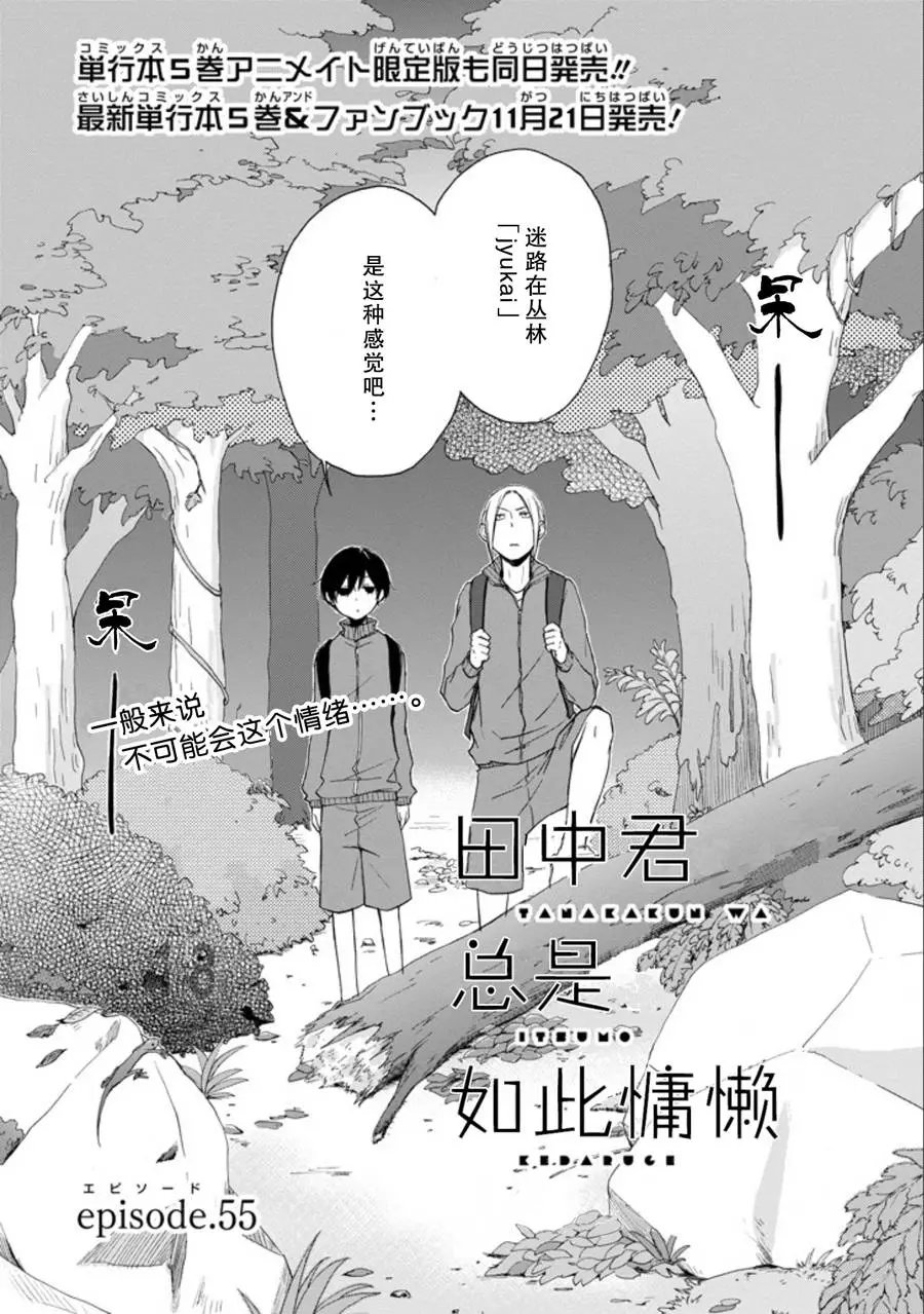 第55回