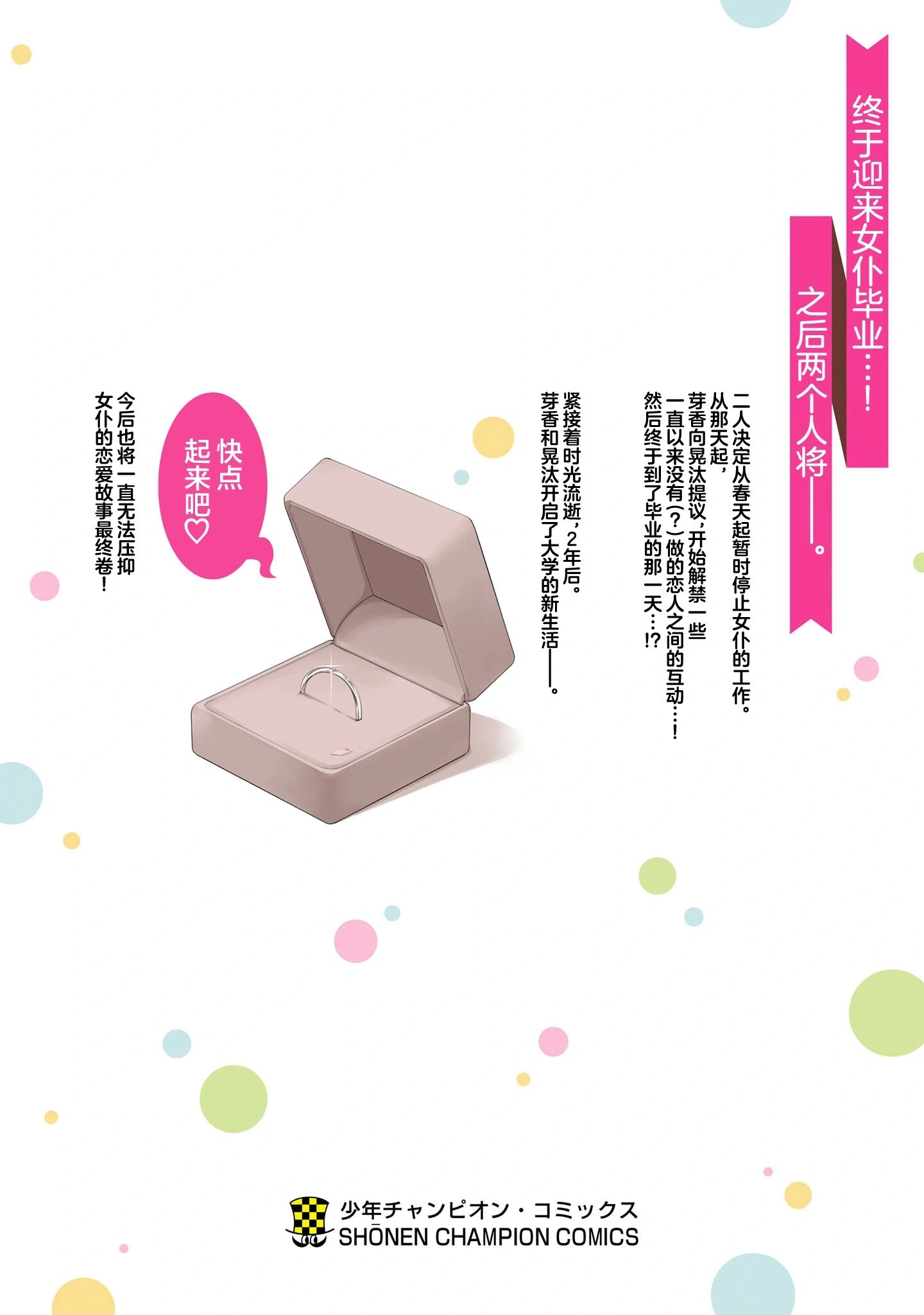特别篇