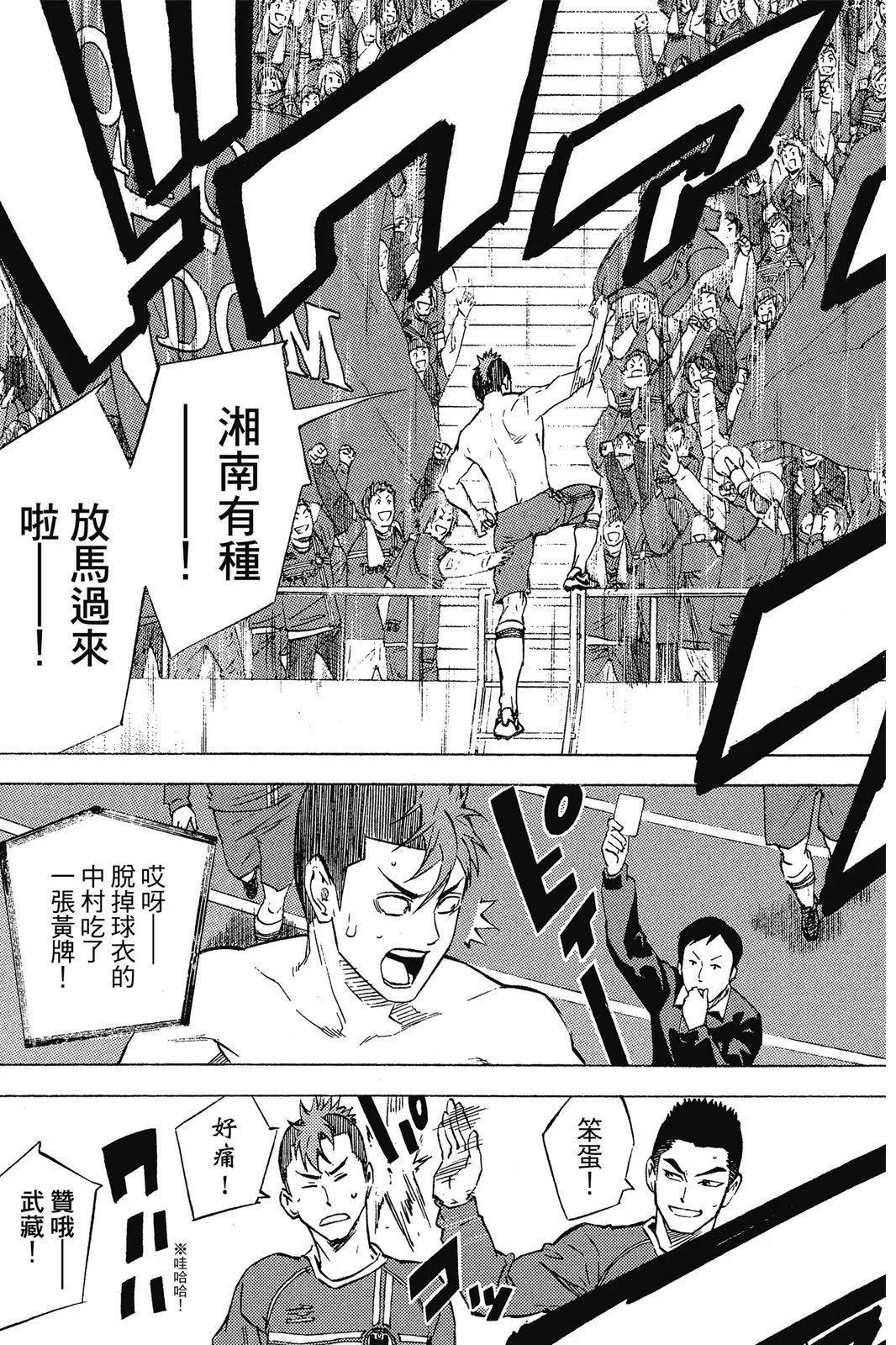 第41卷