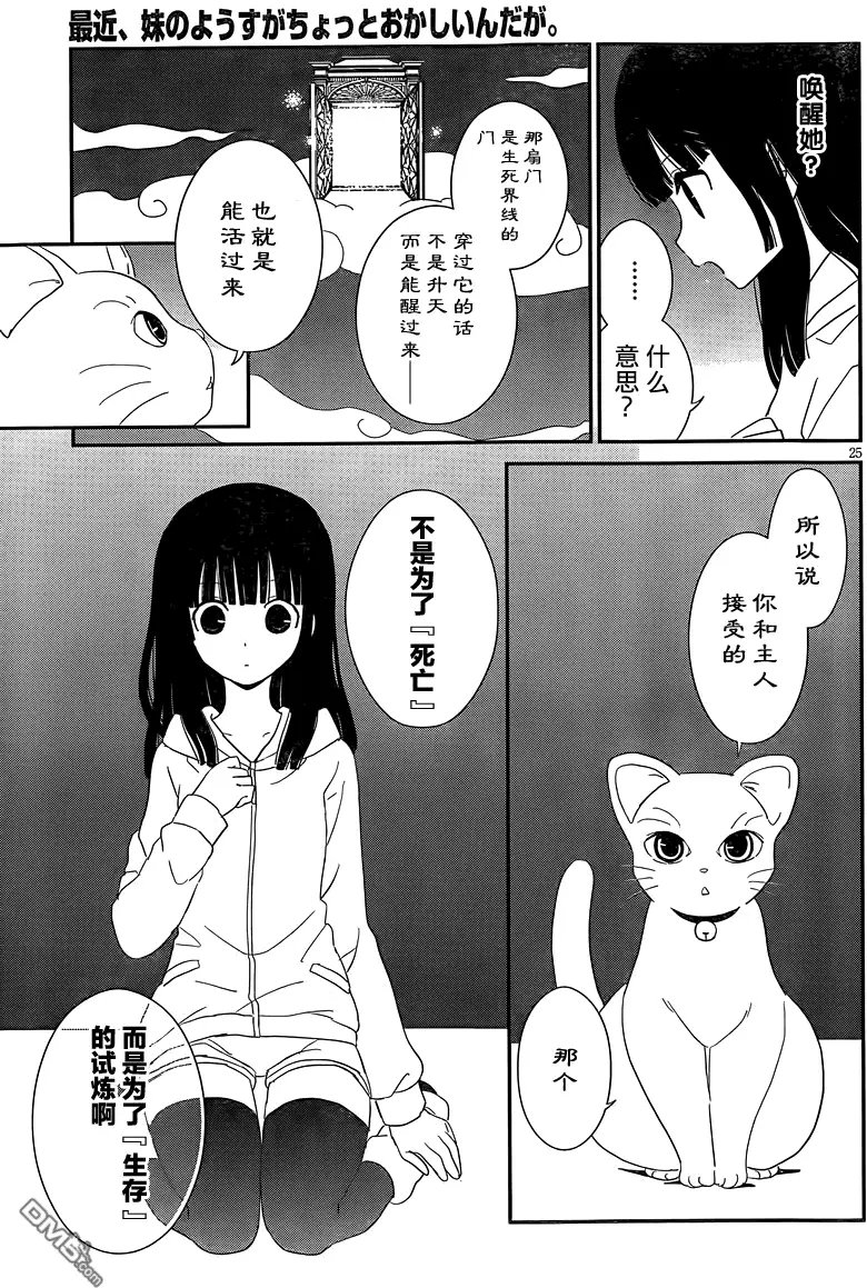 第39回 感觉小小的好可爱