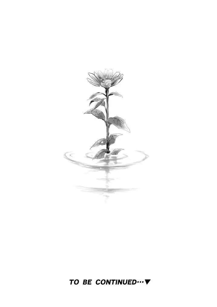 第11话 野春菊