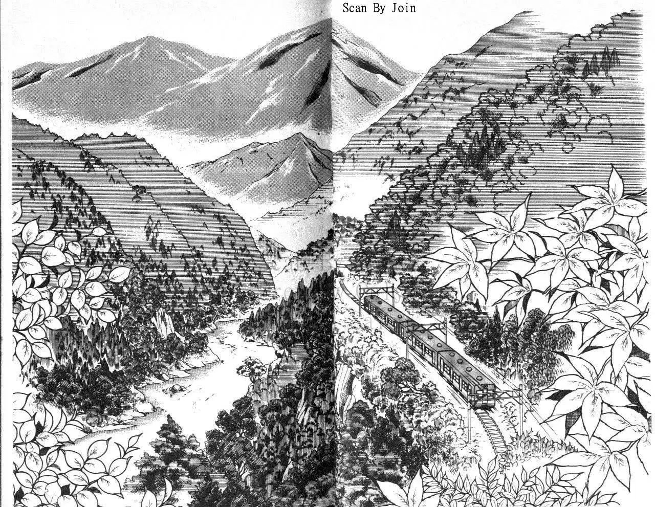 第31卷