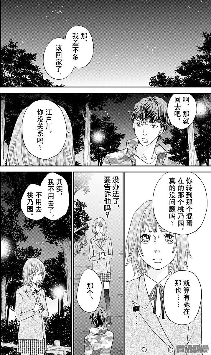 第41回