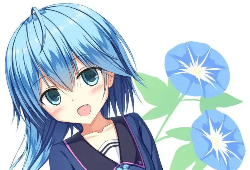 第146回