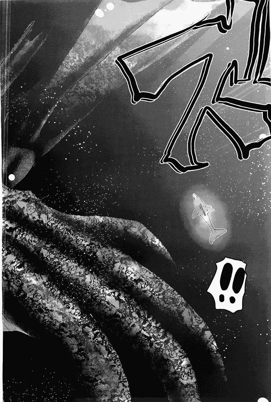 第41回