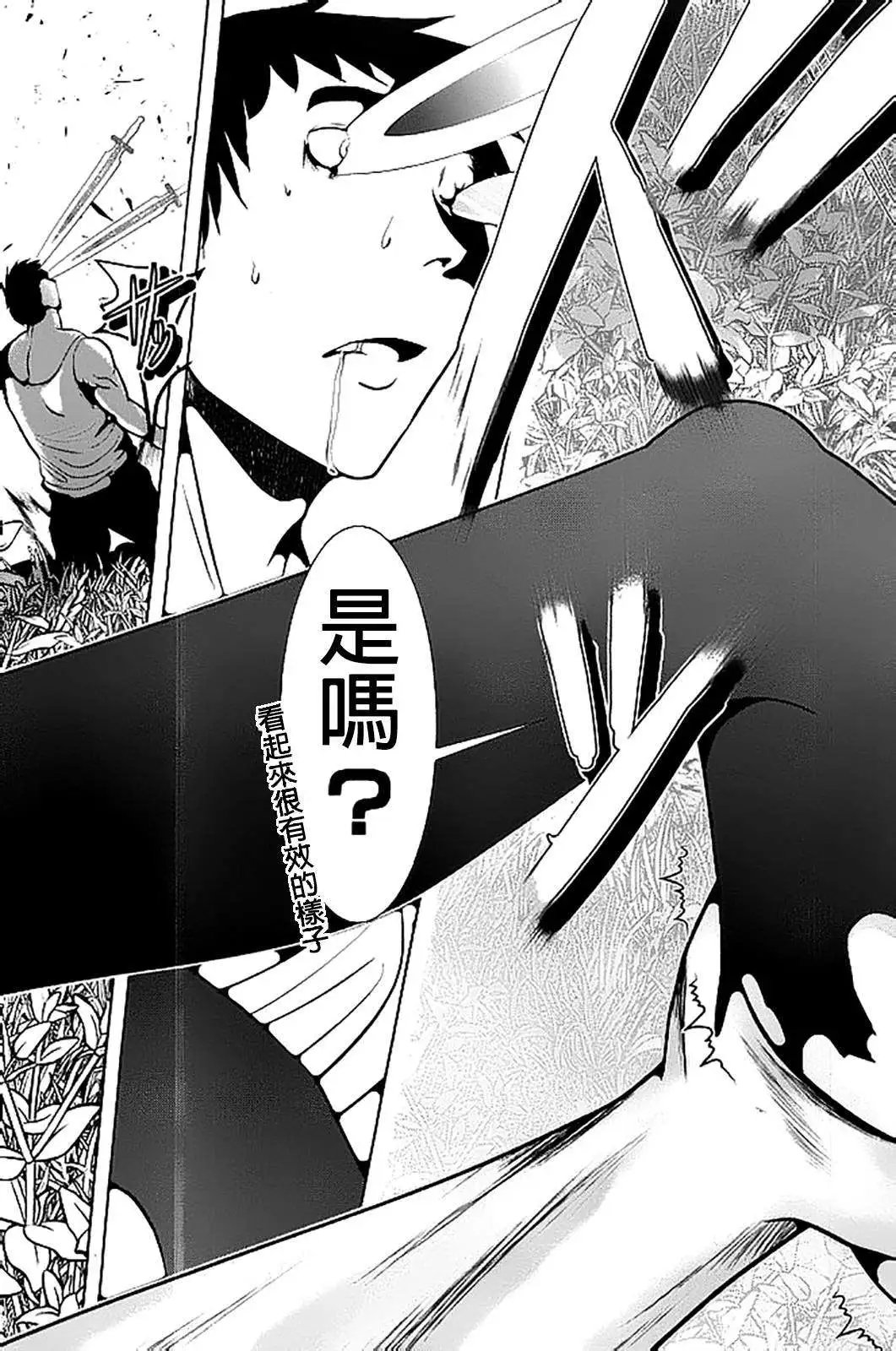 第49回