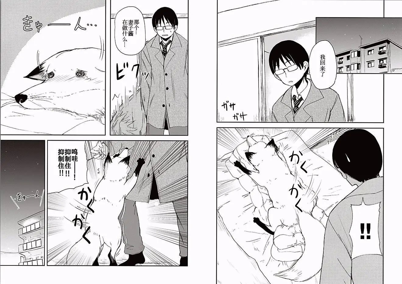 11回