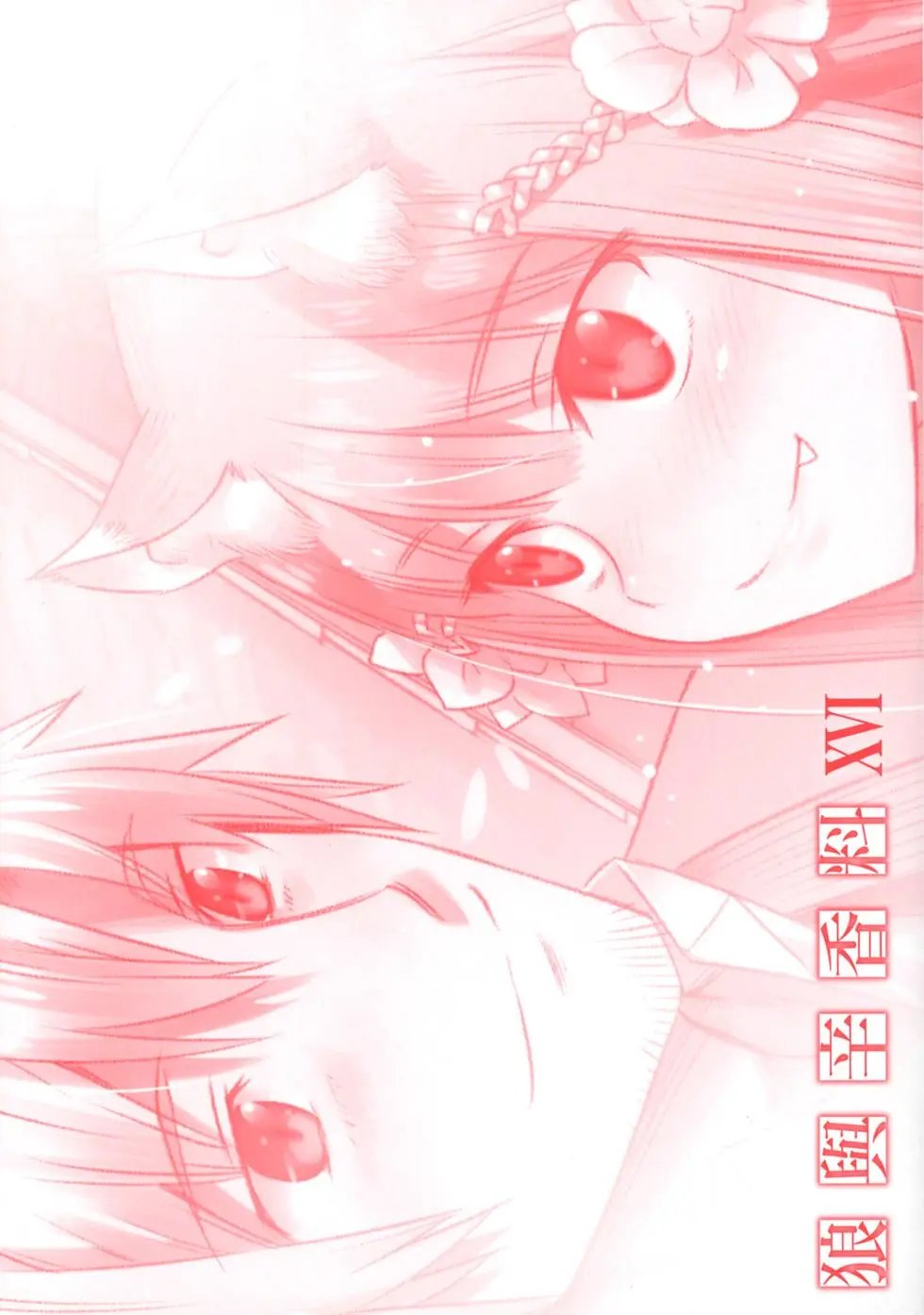 第16卷