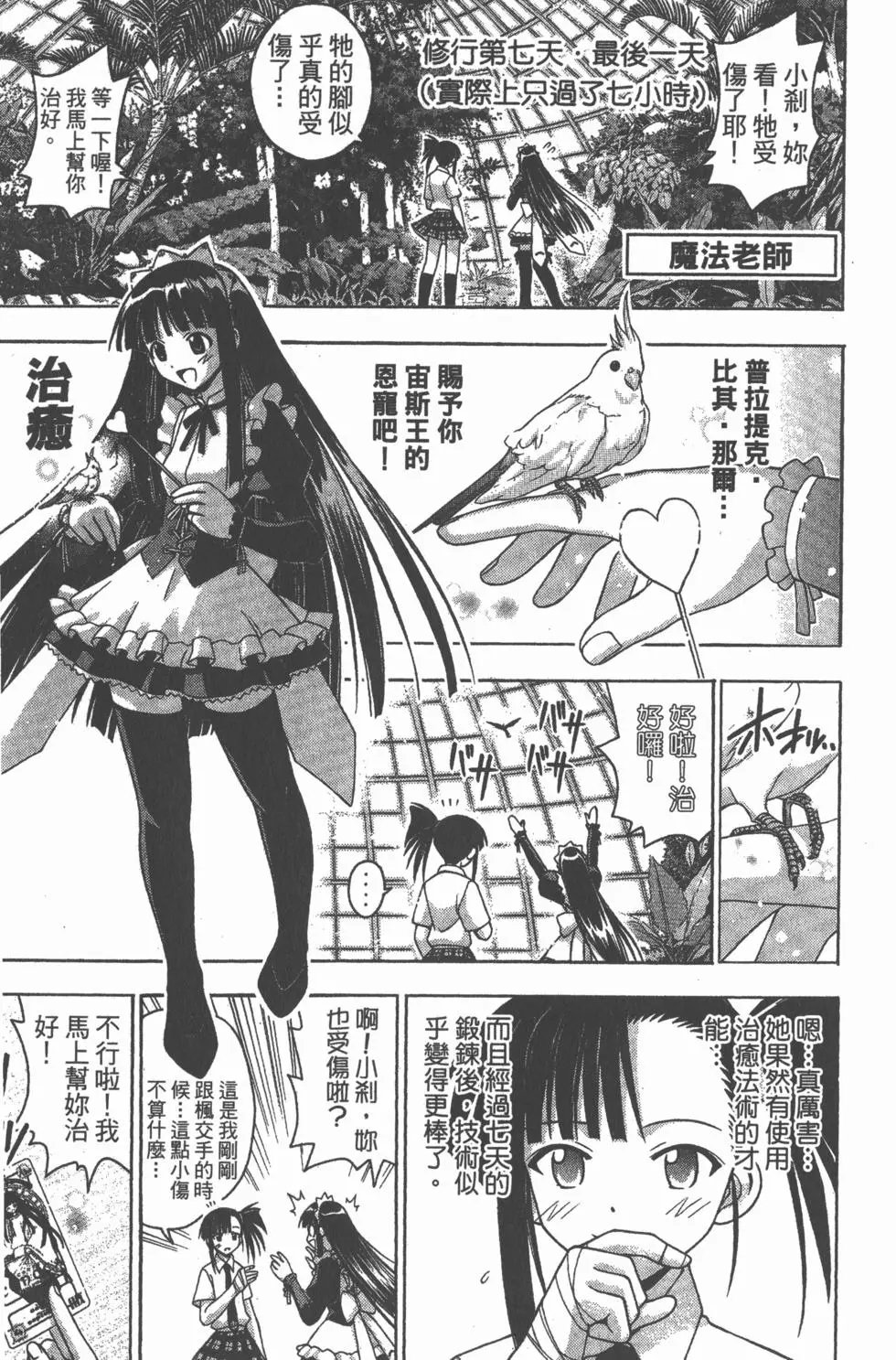 第19卷