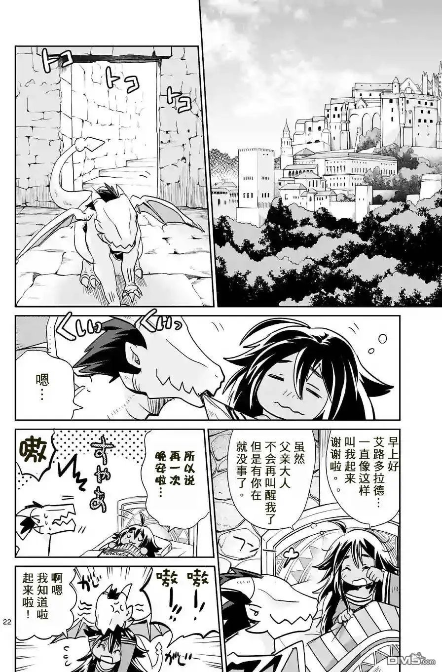 25.5回