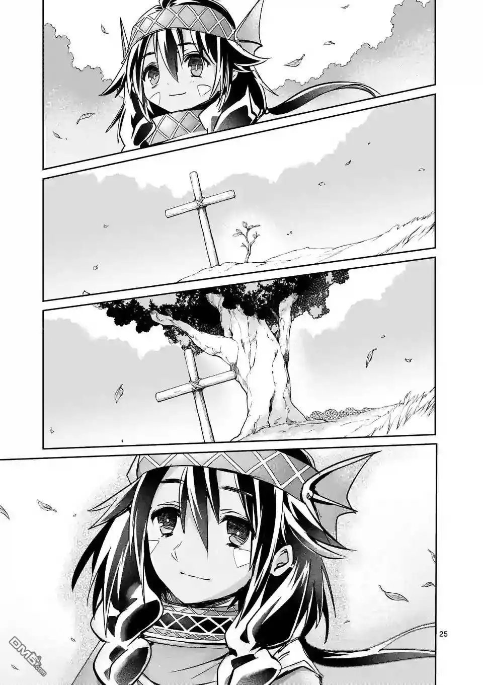 25.5回