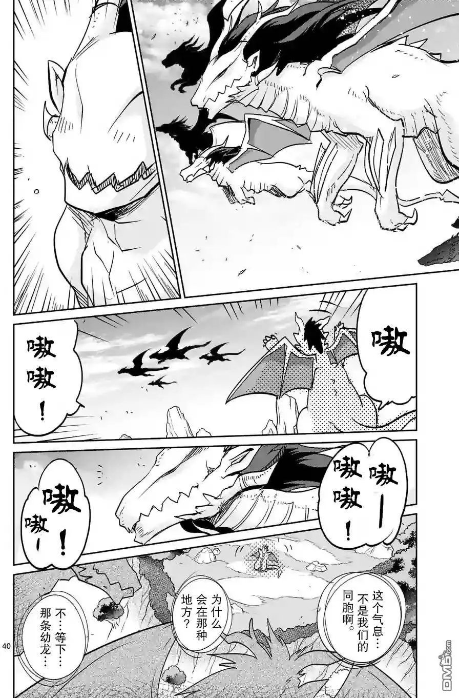 25.5回