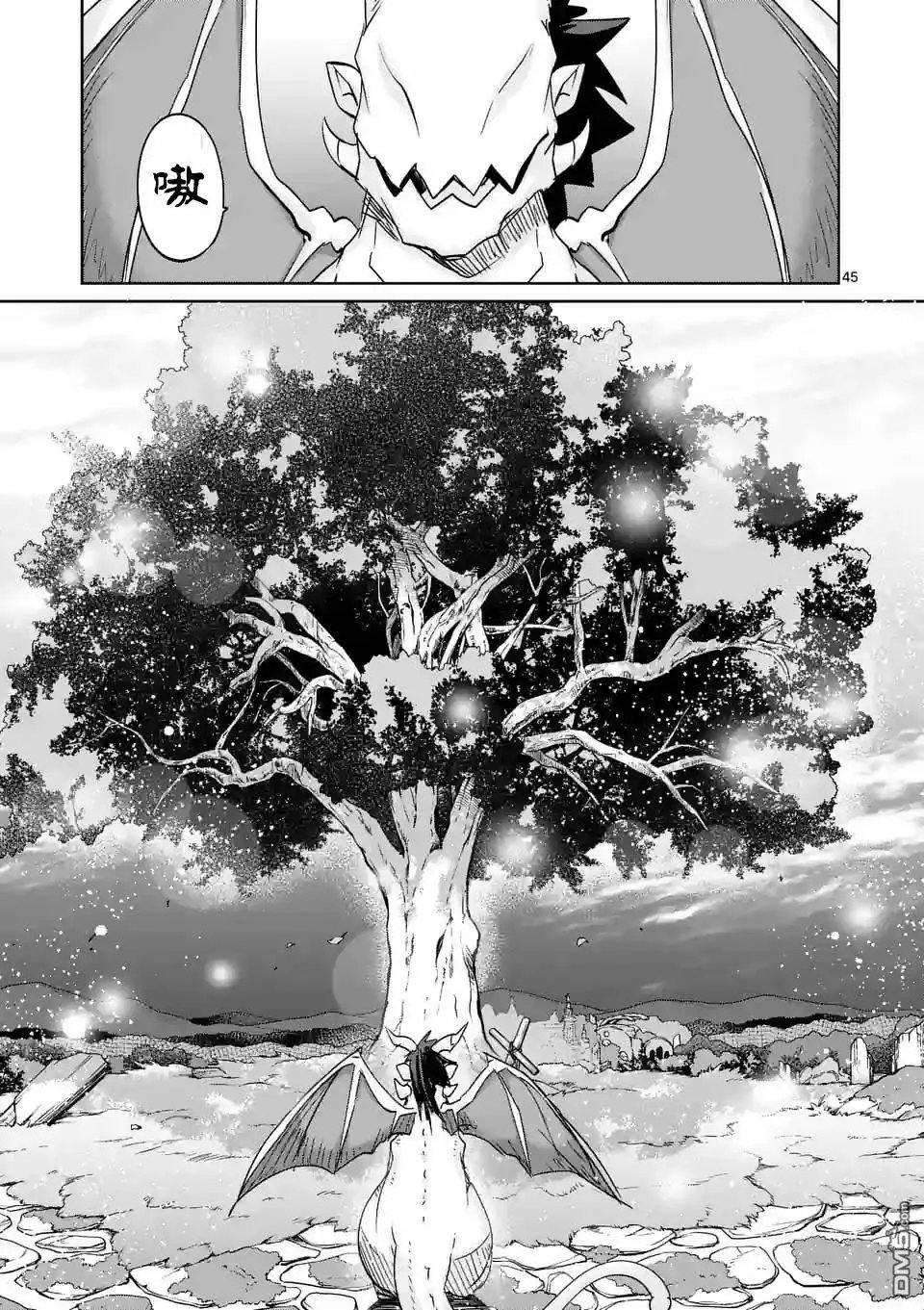 25.5回